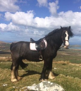 3 Day Trail Ride on the Dingle Peninsula