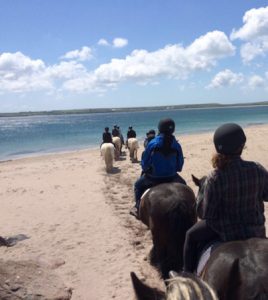 Beach riding with Longs Riding Centre