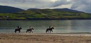 Horse treks on the Dingle Peninsula