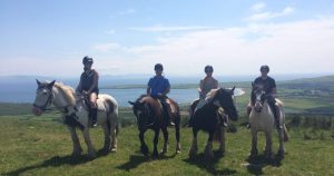 Mountain Horse Trekking with Longs Riding Dingle